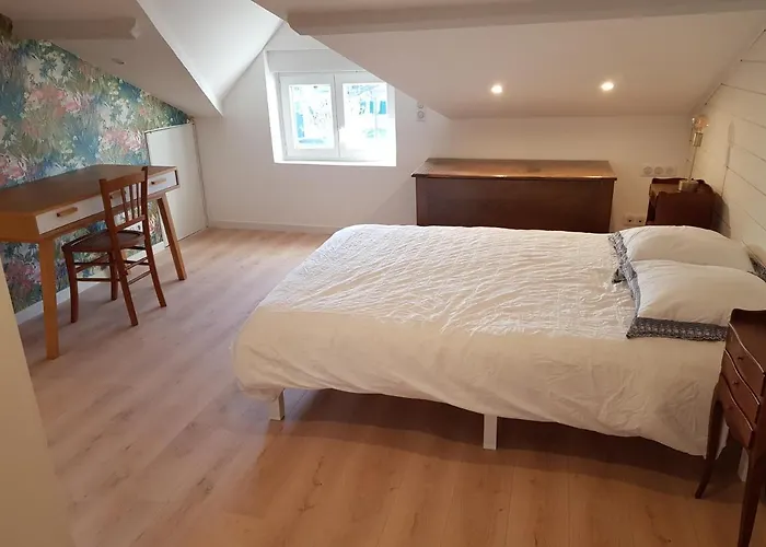 Jolie Suite De 28M² - La Hume Centre