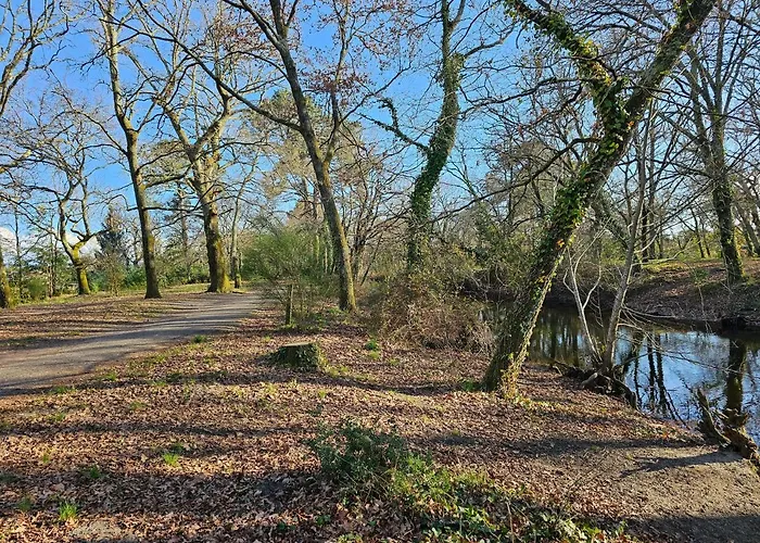 Jolie Suite De 28M² - La Hume Centre